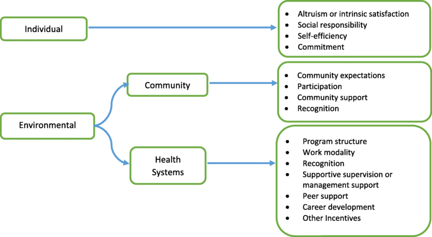 concept health house adolescents